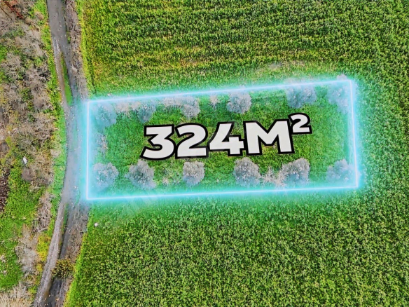 584